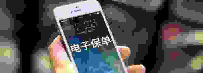 领取免检标志需要新保单吗 没有纸质保单怎么审车