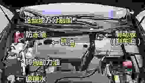 【汽车各种油液更换周期是多久？】图1