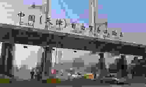 天津港的车为什么便宜？怎么购买不会被骗？