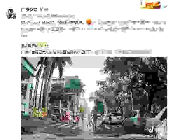 【粤A283YB车主事件处理结果 粤A283YB司机抓到了】图2