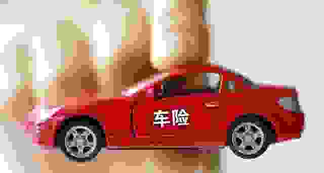 如果骗车险会怎么样？