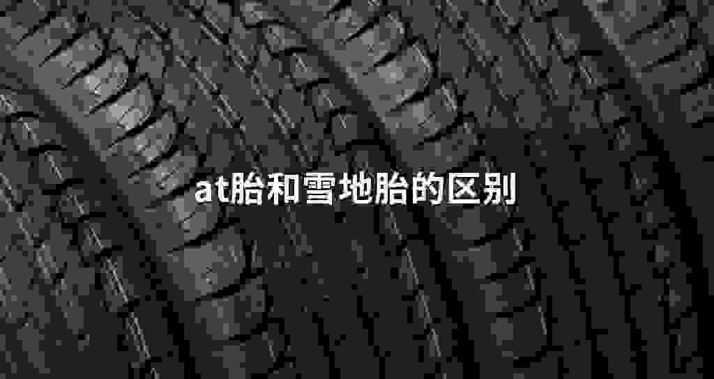 at胎和雪地胎的不同之处