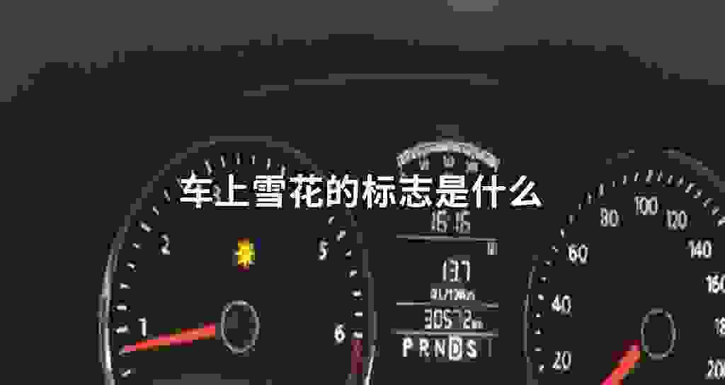 车上雪花的标记符号是什么