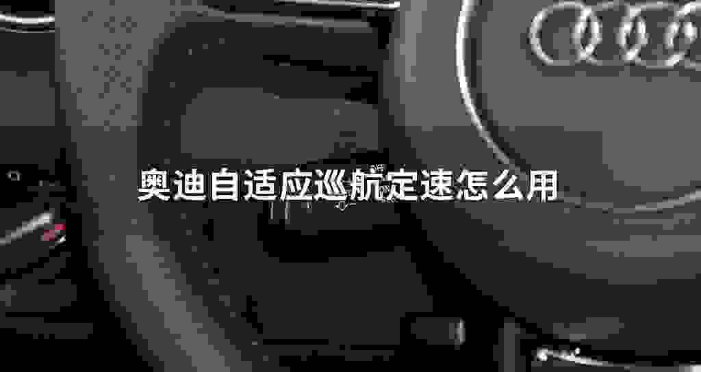 奥迪自适应巡航定速怎么用