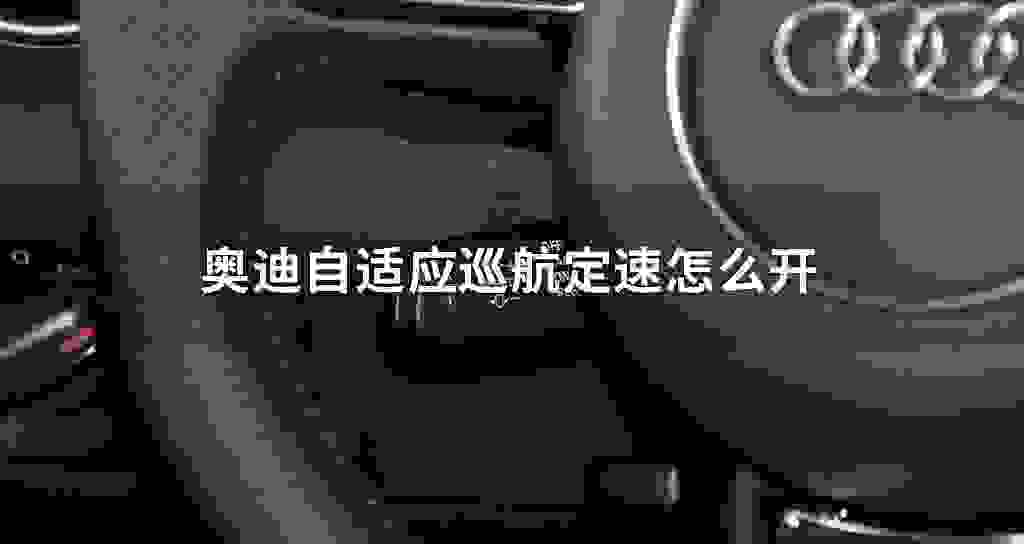 奥迪自适应巡航定速怎么开