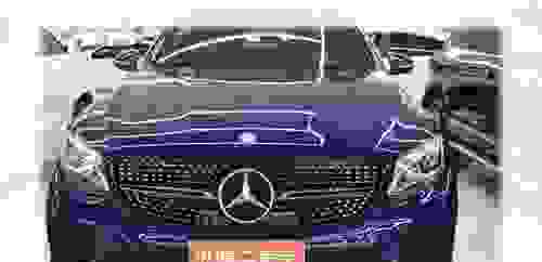 蓝鸟智酷版轮胎型号