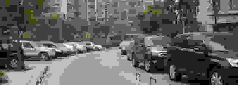 【支付宝停车1460能量在哪领 绿色车主能量一周几次】图1