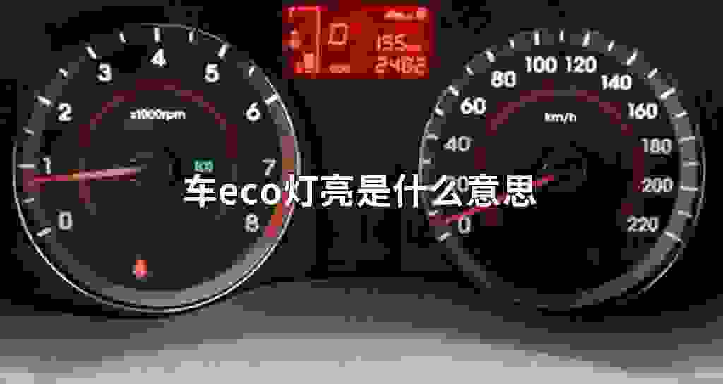 车eco灯亮是什么意思