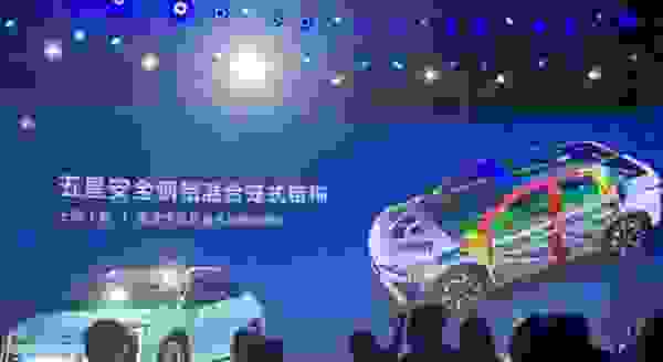 【笼式车身的优缺点 笼式车身结构是什么意思】图2