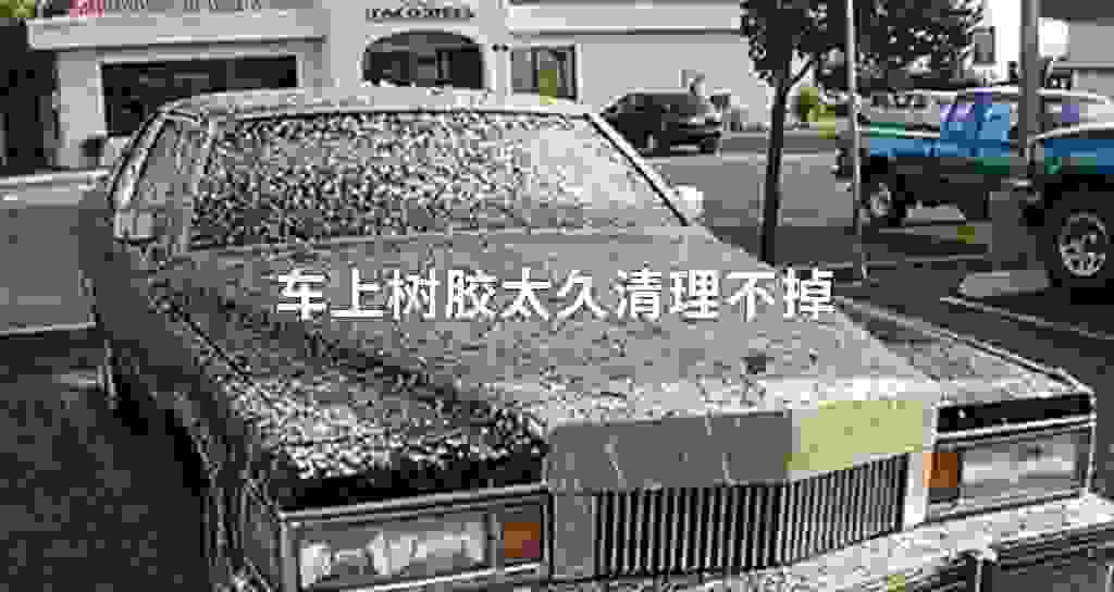 车上树胶太久清除不掉