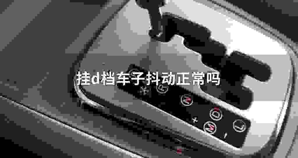 挂d档车子发抖震动正常吗
