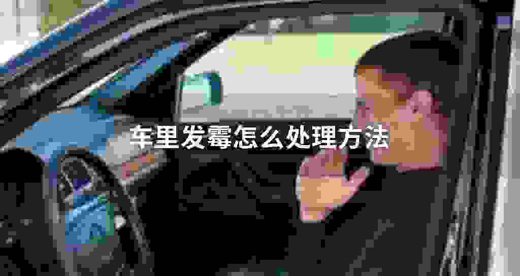 车里发霉怎么处理方法