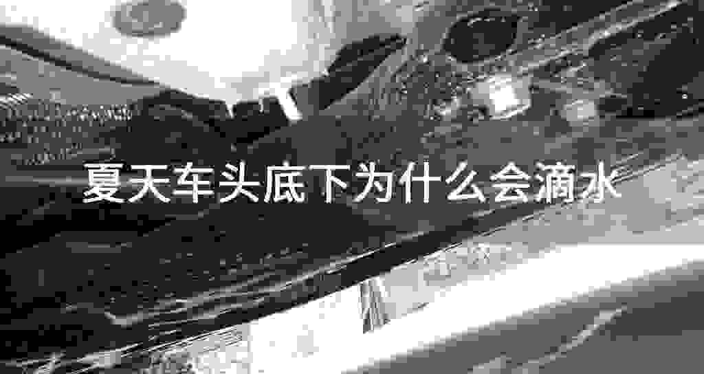 夏天车头底下为什么会滴水