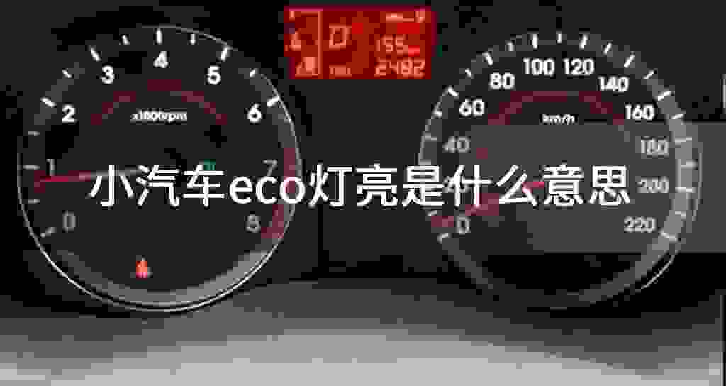 小汽车eco灯亮是什么意思