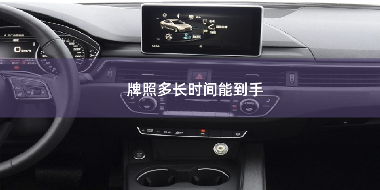 牌照多长时间能到手