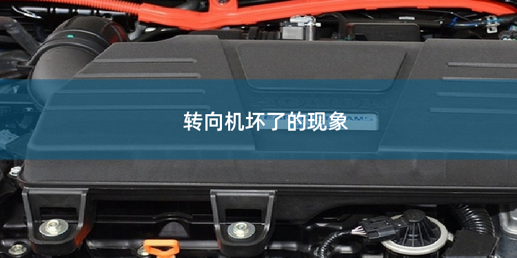 转向机坏了的现象